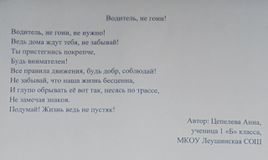 Цепелева Анна 